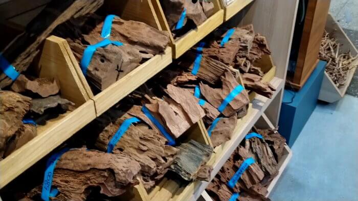 アクアフォレスト ソラマチ店