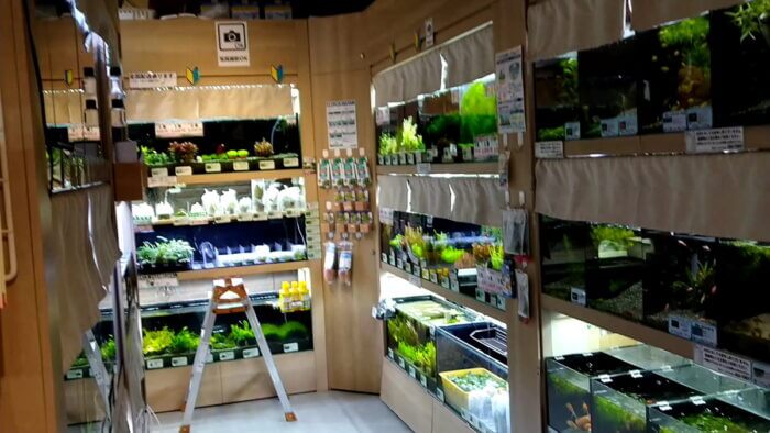 アクアフォレスト ソラマチ店