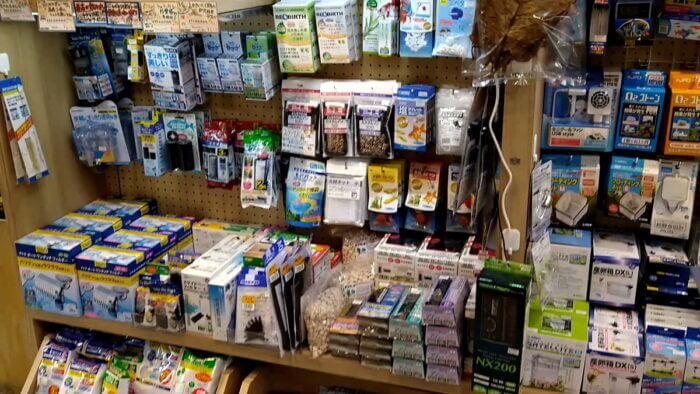 アクアフォレスト ソラマチ店