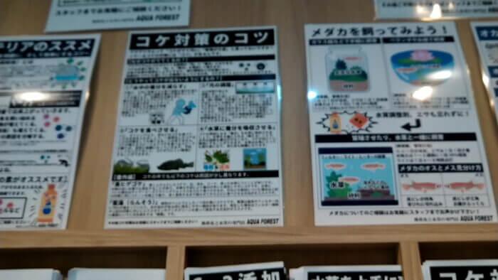 アクアフォレスト ソラマチ店