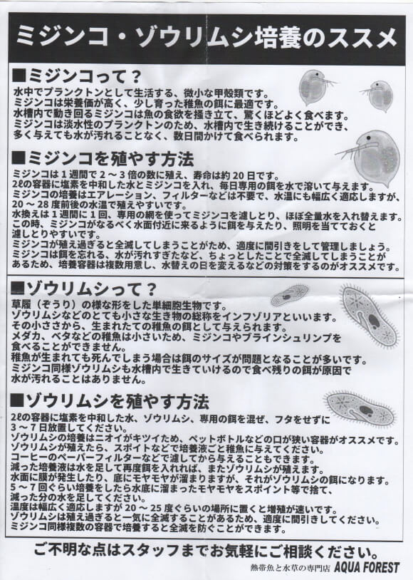 アクアフォレスト ソラマチ店