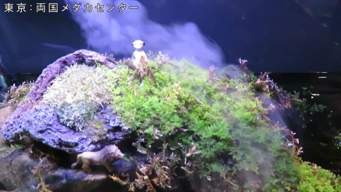 両国メダカセンター