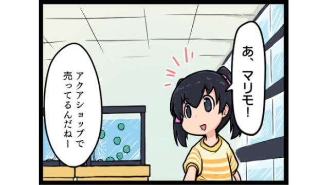 【4コマまんが】緑のマリモと赤いイトメ