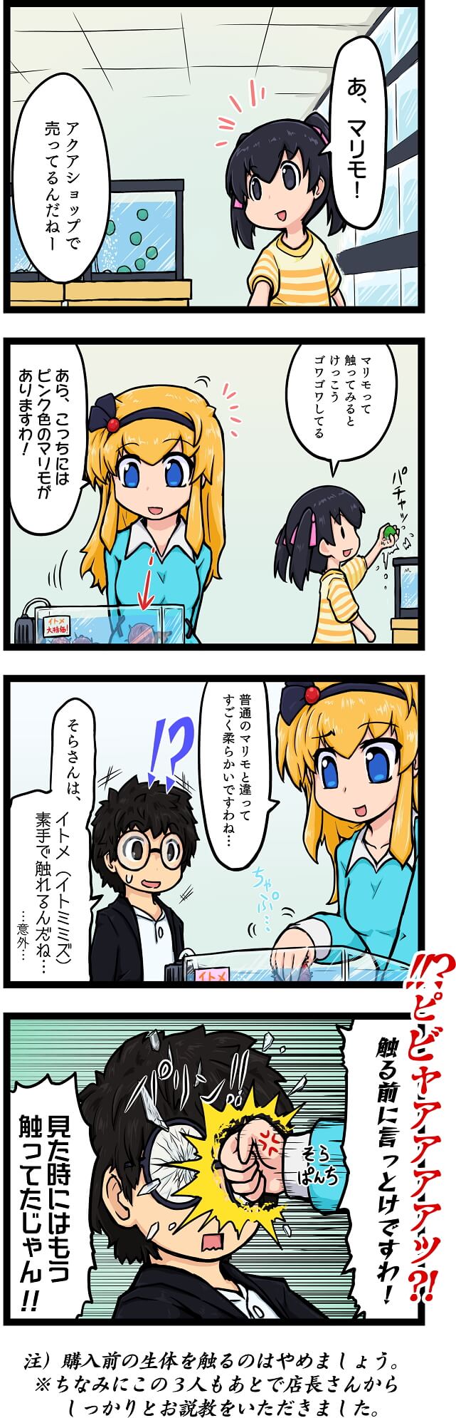 【4コマまんが】緑のマリモと赤いイトメ