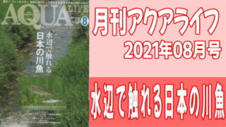 月刊アクアライフ2021年08月号 『水辺で触れる日本の川魚』