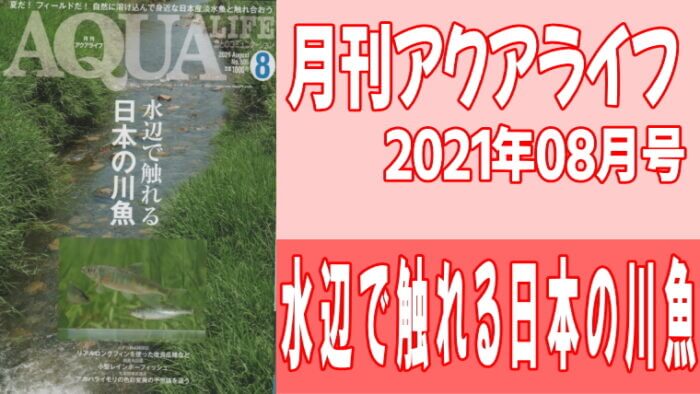 月刊アクアライフ2021年08月号 『水辺で触れる日本の川魚』