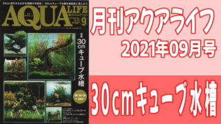 月刊アクアライフ2021年09月号 『30cmキューブ水槽』