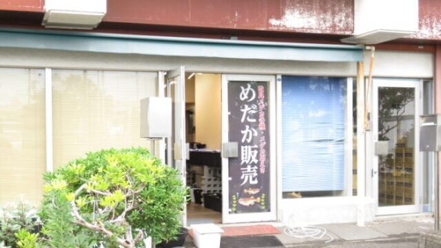 サバンナ横浜店