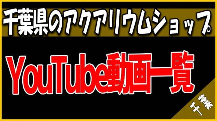 YouTube動画 千葉県のアクアリウムショップ