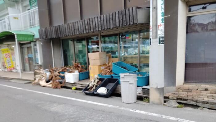 AQUA Revelation J.B.