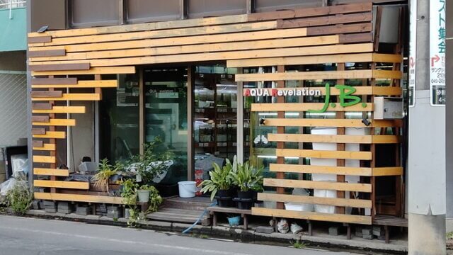 AQUA Revelation J.B.