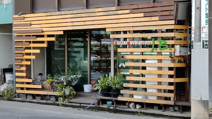 AQUA Revelation J.B.