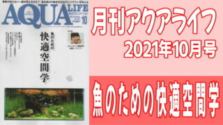 月刊アクアライフ 2021年10月号『魚のための快適空間学』