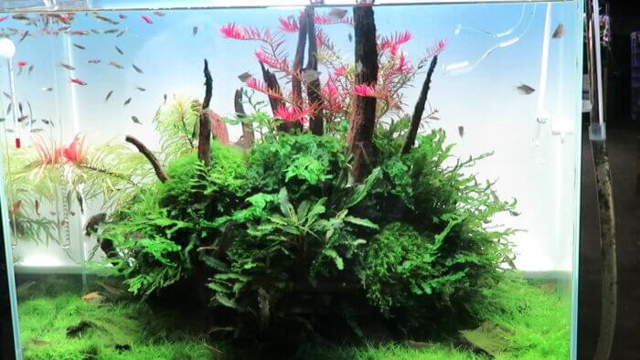 アクアテイク-E