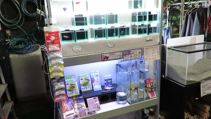 アクアテイク-E