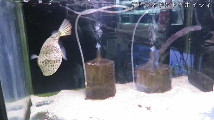 アクアテイク-E