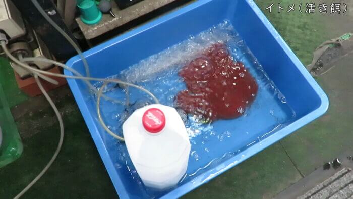 アクアテイク-E