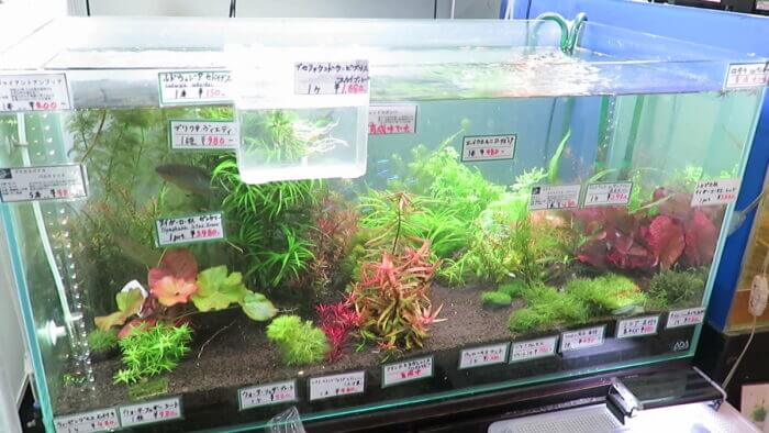 アクアテイク-E