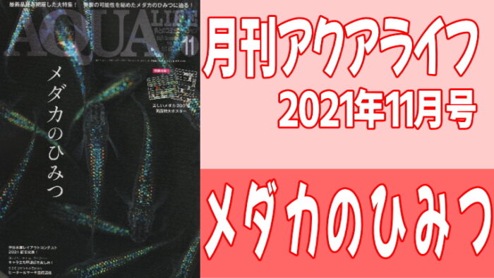 月刊アクアライフ 2021年11月号『メダカのひみつ』