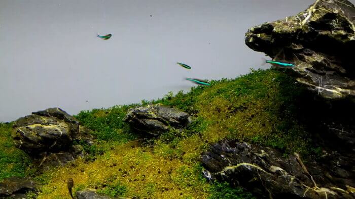 トロピランド相模原店