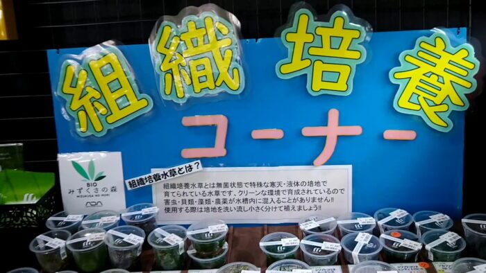 トロピランド相模原店