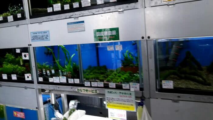 トロピランド相模原店