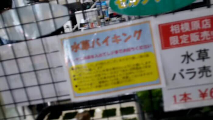 トロピランド相模原店