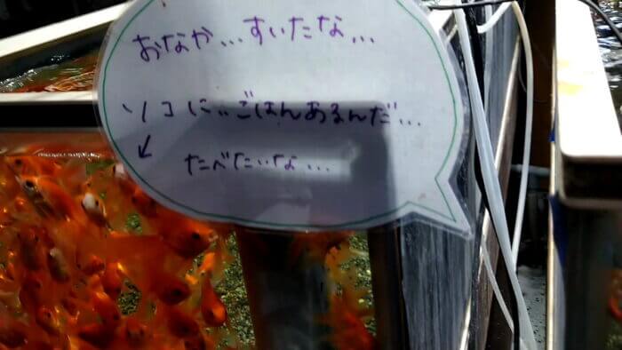 トロピランド相模原店