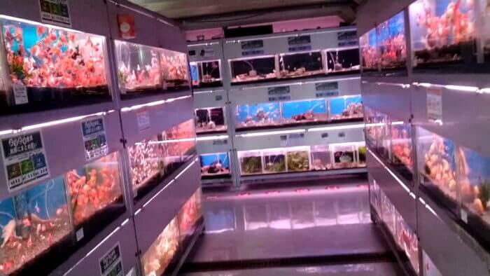 トロピランド相模原店