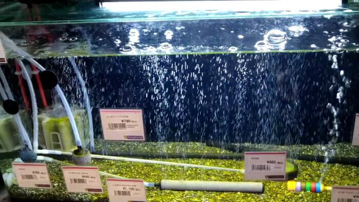 トロピランド相模原店