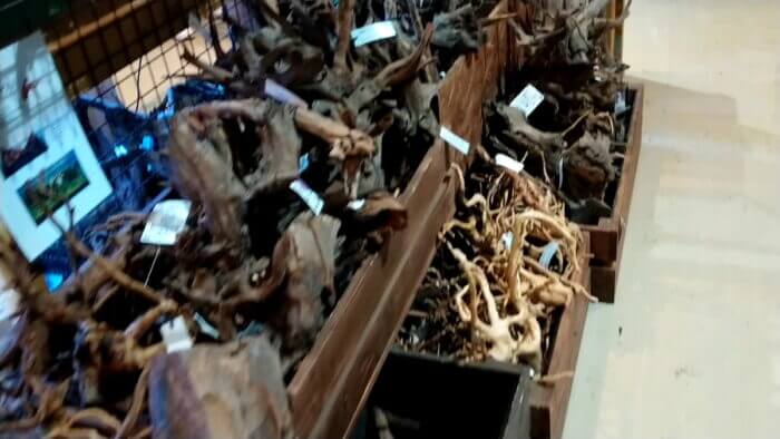 トロピランド相模原店