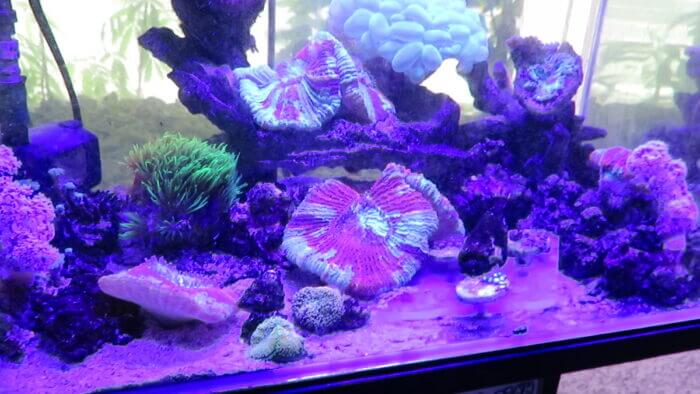 ひかるアクアリューム