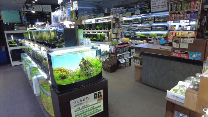 ヒロセペット谷津本店