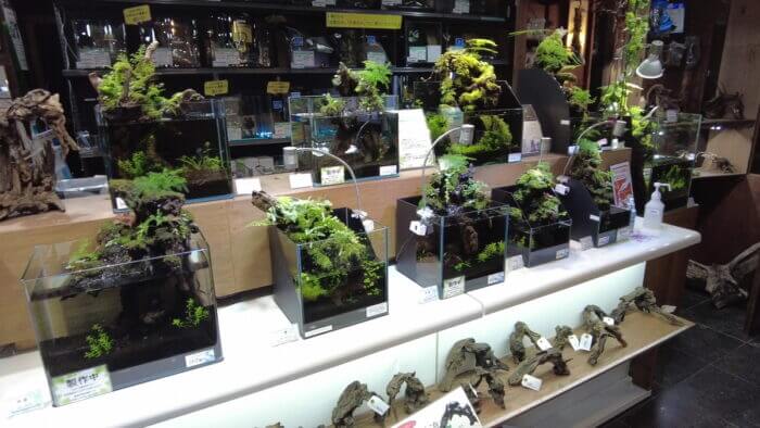 ヒロセペット谷津本店