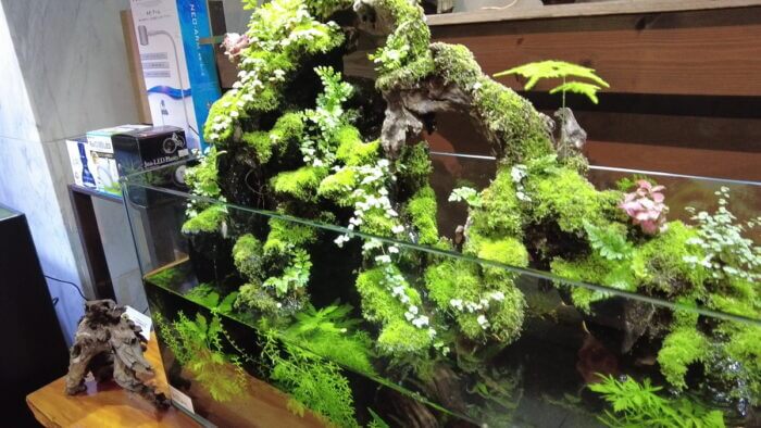 ヒロセペット谷津本店