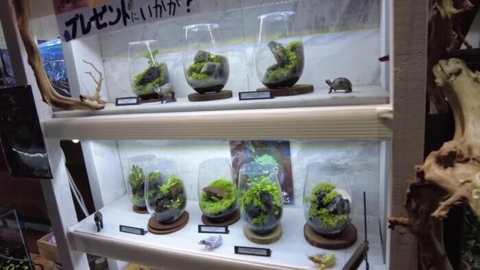 ヒロセペット谷津本店