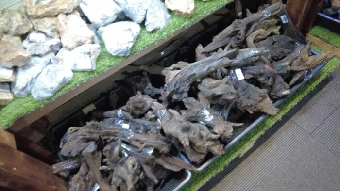 ヒロセペット谷津本店