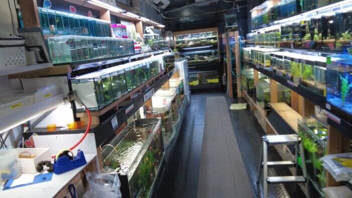 ヒロセペット谷津本店