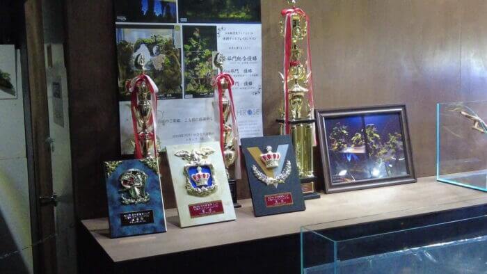 ヒロセペット谷津本店