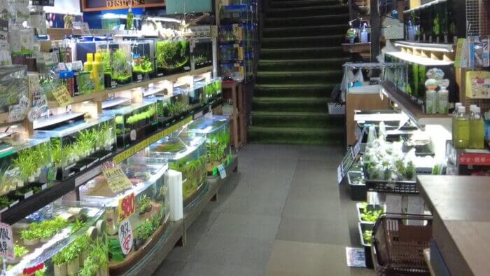 ヒロセペット谷津本店