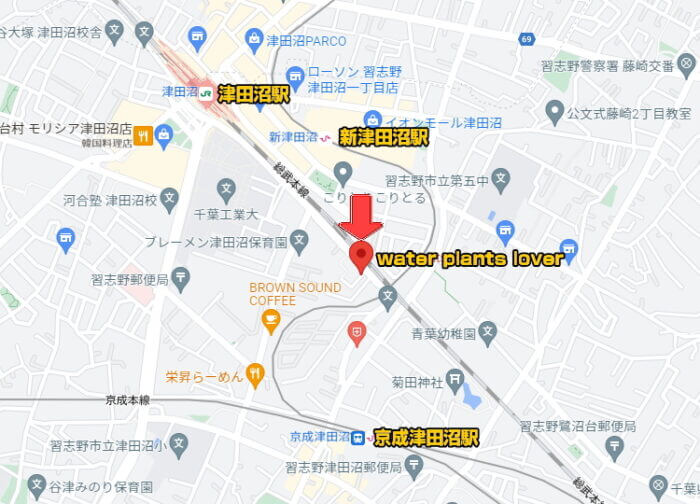 water plants lover(ウォータープランツラバー)