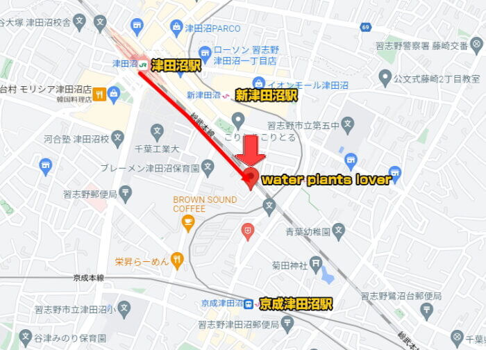 water plants lover(ウォータープランツラバー)