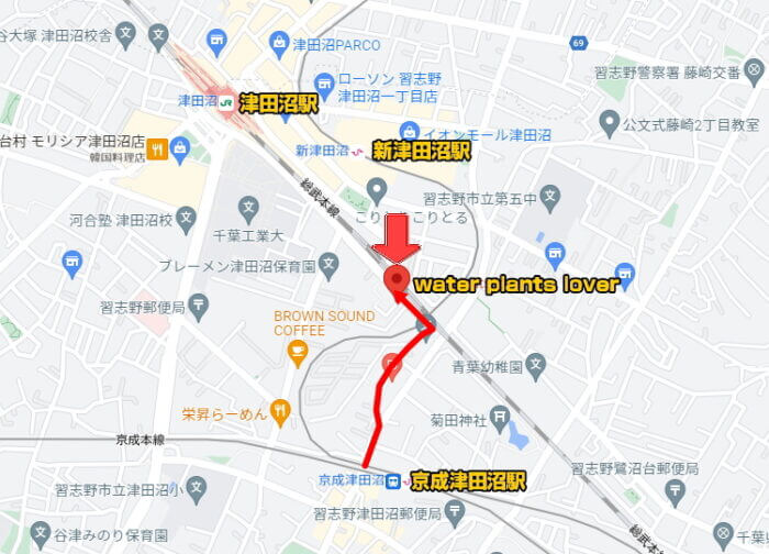 water plants lover(ウォータープランツラバー)