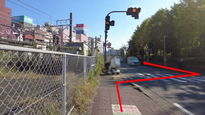 water plants lover(ウォータープランツラバー)