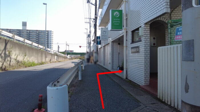 water plants lover(ウォータープランツラバー)