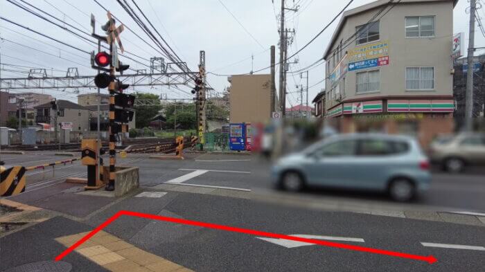 water plants lover(ウォータープランツラバー)