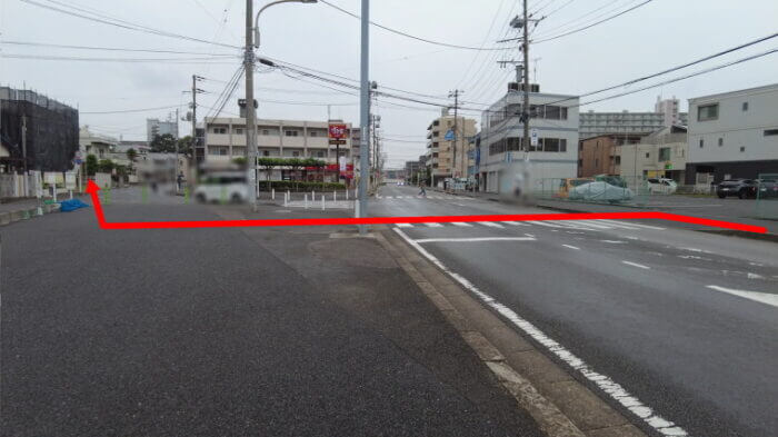 water plants lover(ウォータープランツラバー)