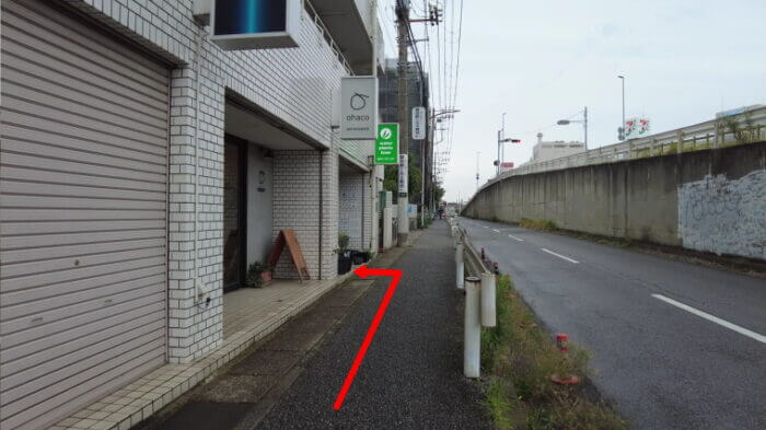 water plants lover(ウォータープランツラバー)