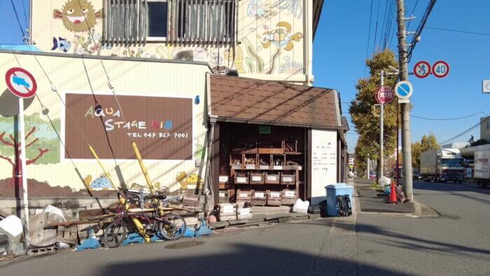 アクアステージ518