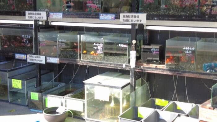 アクアステージ518